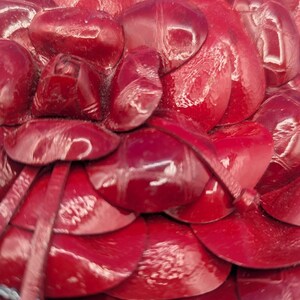 Brighton Handbag Red 9.5L” X 6”H X 2”W image 3