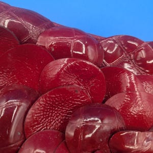 Brighton Handbag Red 9.5L” X 6”H X 2”W image 4