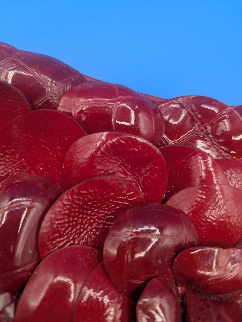 Brighton Handbag Red 9.5L” X 6”H X 2”W image 4