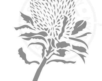 Banksia Wildflowers Stencil 1464 Design Reusable Mylar Painting and Cake Template