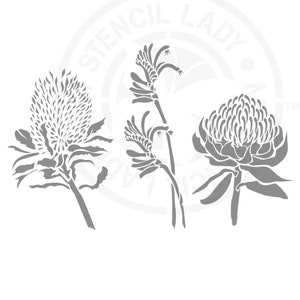 Pochoir fleurs australiennes Banksia, patte de kangourou, warratah 1495 modèle réutilisable de peinture et de gâteau en mylar