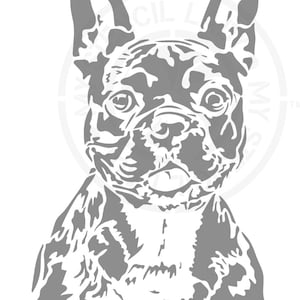 Frenchy French Bulldog Dog Stencil 1436 Ontwerp Australische herbruikbare kunst, kunstnijverheid, mylar-meubelsjablonen en stencils