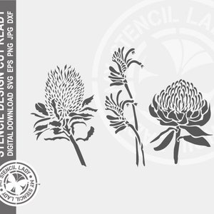 Natif australien Banksia, Kangaroo Paw, Warratah Fleurs Dessinées à la main 1495 Stencil Digital Download Laser Cricut Cut Ready Design