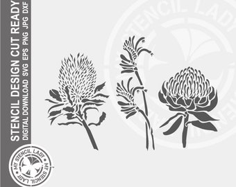 Native Australian Banksia, Kangaroo Paw, Warratah Flowers Hand Drawn 1495 Stencil Digital Download Laser Cricut Cut Ready Design