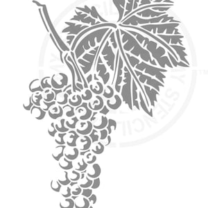 Grapes Vine-stencil 1509 Australische herbruikbare kunst, kunstnijverheid, mylar-sjablonen en stencils voor meubels