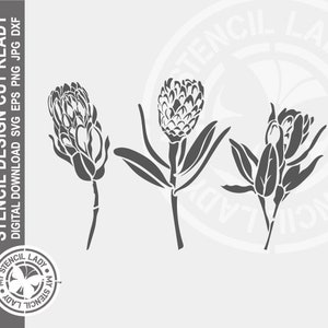 Plantilla de flores de proteas dibujadas a mano 1484, descarga digital, diseño listo para cortar con láser y Cricut - archivos .svg .eps .dxf .png .jpg - SOLO ARCHIVOS DIGITALES