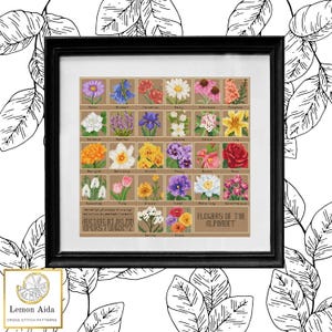 Flowers of the Alphabet Sampler Cross Stitch Pattern PDF