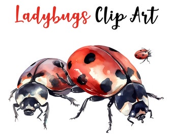 Ladybug Clip Art, Watercolor Art