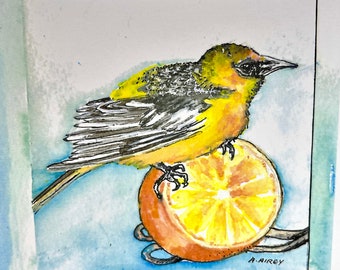 Single art card/oriole watercolour print/oriole on orange feeder watercolour art card/oriole bird printed card