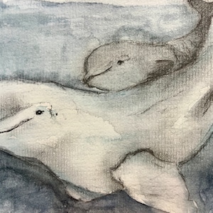 Cartão de arte individual/cartão de arte com baleia e mãe beluga/cartão de aquarela com belugas