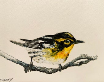 Kunstwerk van een Blackburniaanse zangvogel, origineel kunstwerk van een zangvogel.