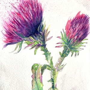 Scotch Thistles original watercolour art/purple thistles watercolour 5x7 inches