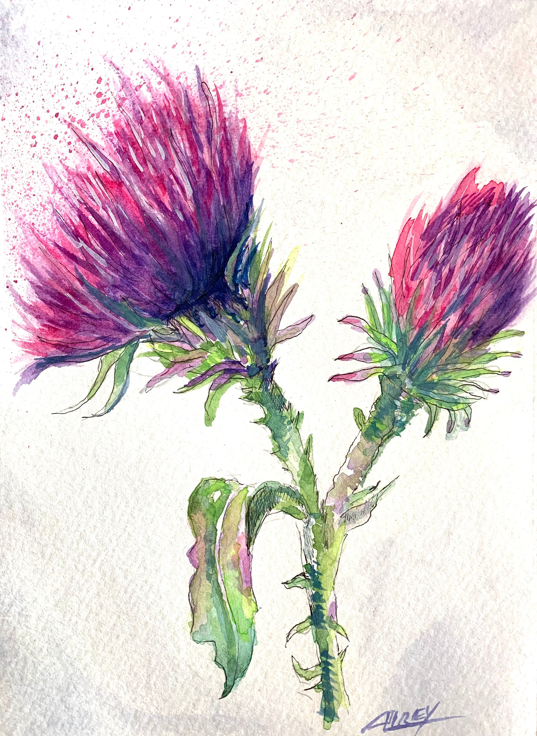 Image of A watercolor painting of a Scotch thistle