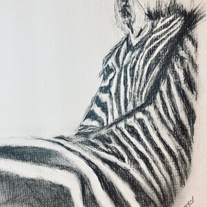 Singola cartolina artistica/Carta artistica Zebra/Stampa artistica disegno zebra