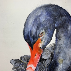 Enkele kunstkaart/zwaan aquarel kunstprint/zwarte zwaan kaart