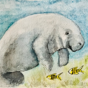 Single art card/Manatee watercolour art card / manatee art print