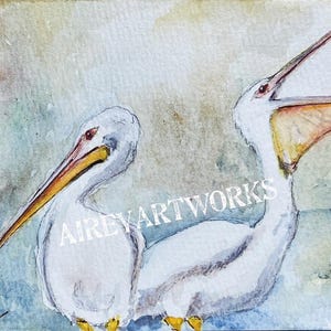 Biglietto d'auguri singolo/Biglietto acquerello Pelican/Stampa artistica Pellicano bianco americano