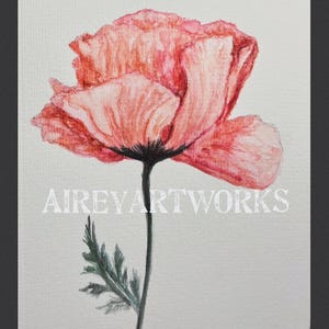 Single art card/poppy watercolour printed card/california poppy flower printed card