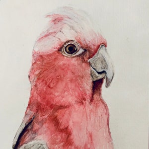 Pink Cockatoo original watercolour painting