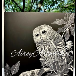 Streifenkauz Original Kratzbild auf Claybord, 12x12