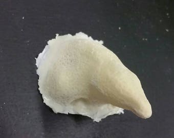 Witch nose prosthetic (slip latex)