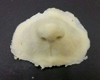 May include: A light beige, textured prosthetic nose. The nose has a rounded tip and a slight indentation below the nostrils. The edges of the prosthetic are uneven, suggesting it is designed to be adhered to the face.