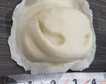 May include: A light-colored, sculpted object, possibly a mold or casting, resting on a dark surface. The object is approximately 3 inches in diameter, with a textured appearance. A measuring tape is placed next to the object.