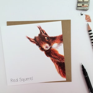 CARTE | Carte de voeux effrontée d'écureuil roux, illustration de la faune écossaise, animaux britanniques. Les écureuils. Jardin. Sauvage. Fabriqué au Royaume-Uni