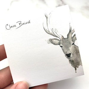 May include: A watercolour illustration of a deer's head with antlers. The deer is facing the viewer and has a light grey colour. The background is white. The name "Clare Baird" is written in black ink in the top left corner.