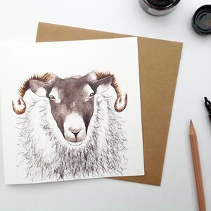 CARD Ewe