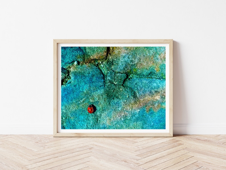 Ladybug prints animal in nature Instant Photo Download Printable Photography Digital Art Colourful Art Art for the wall Wall Decor