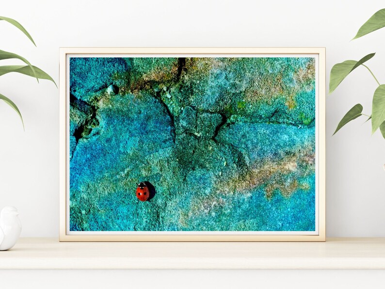 Ladybug prints animal in nature Instant Photo Download Printable Photography Digital Art Colourful Art Art for the wall Wall Decor