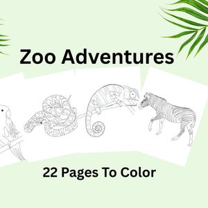 Printable Coloring Pages - 22 Zoo Animal Coloring Pages Instant Digital Download