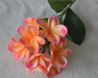 Coral Pink Frangipani Plumerias Stems Natural Real Touch Flowers For Silk Bridal Bouquet Wedding Centerpieces