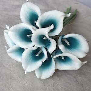 May include: A bouquet of calla lilies with white petals and teal centers. The flowers are clustered together, with green stems and a natural twine tie. The arrangement is a close-up shot, highlighting the delicate details of the blooms.