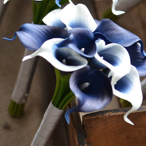 Navy Blue Picasso Calla Lilies Real Touch Flowers DIY Wedding - Etsy