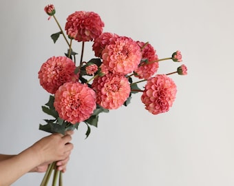 31,6" Kunstmatige Dahlia Bloesem Tak-Stoffig Koraal Roze, Faux Bloemstam, DIY Bloemen | Bruiloft/Woondecoratie/Boeket/Middelpunt | Geschenken