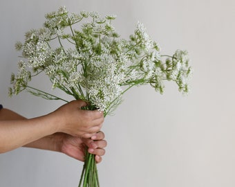 19,7" Fausse tige de plante en dentelle de la reine Anne 3 têtes en blanc, branche de fleurs de printemps artificielles, fleurs bricolage/mariage/maison/décoration de cuisine, cadeaux