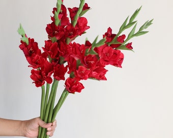 34.3" Real Touch Artificial Gladiolus Stems-Fuchsia, Fake Spring Summer Flowers, DIY Florals/Wedding/Home/Kitchen Decorations, Gifts For Her