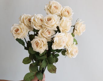 May include: A bouquet of cream-colored roses with green stems and leaves.