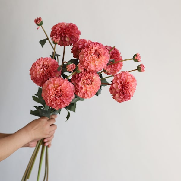 31,6 "künstliche Dahlien-Blüten-Zweig-Staubkoralle-Rosa, Faux-Blumen-Stiel, DIY-Blumen | Hochzeit / Dekoration / Blumenstrauß / Herzstück | Geschenke