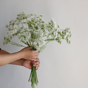 Tallo de planta de encaje falso de la reina Ana de 19,7 , 3 cabezas en blanco, rama de flores artificiales de primavera, flores de bricolaje / boda / hogar / decoración de cocina, regalos imagen 1