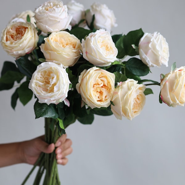 Cabbage Roses - Etsy