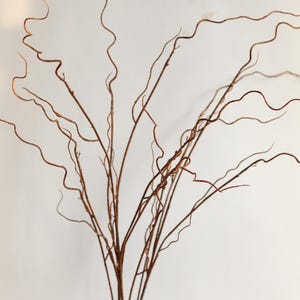 Puede incluir: Un ramo de ramas de sauce rizado, con tallos delgados y retorcidos en tonos marrones. Las ramas tienen una apariencia natural y orgánica, perfectas para arreglos decorativos. El fondo es blanco liso.