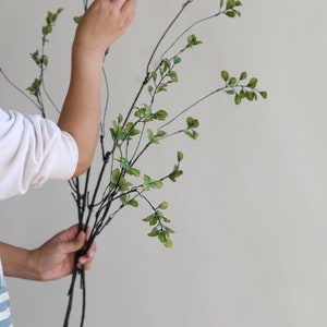 May include: A bouquet of artificial greenery with long, thin stems and small, green leaves. The stems are black and the leaves are a light green color.