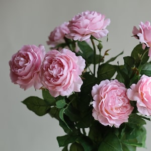May include: A bouquet of pink roses with green leaves. The roses are arranged in a vase, but the vase is not visible in the image.