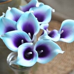 10 Aqua Blue Purple Picasso Calla Lilies Real Touch Flowers - Etsy