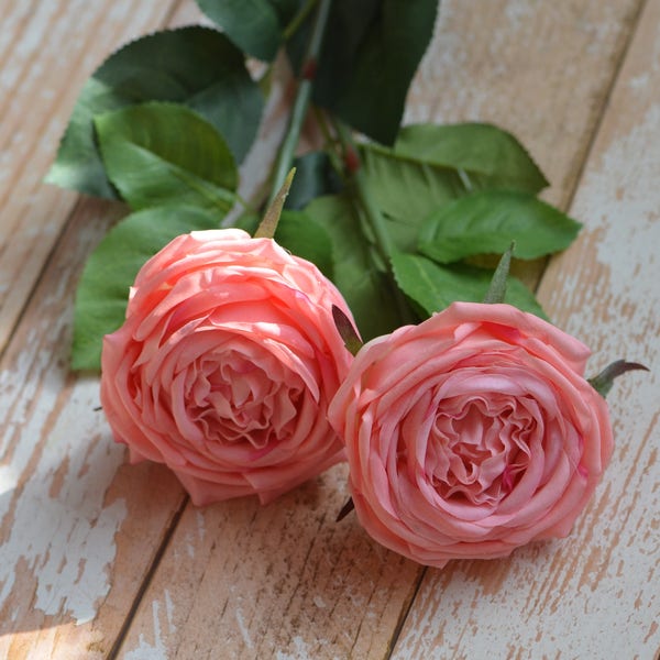 Pink Coral Cabbage Roses Old English Roses Real Touch Silk Roses DIY Wedding Bouquets Centerpieces