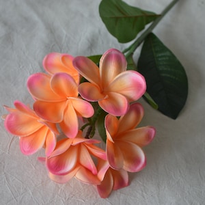Coral Pink Frangipani Plumerias Stems Natural Real Touch Flowers For Silk Bridal Bouquet Wedding Centerpieces