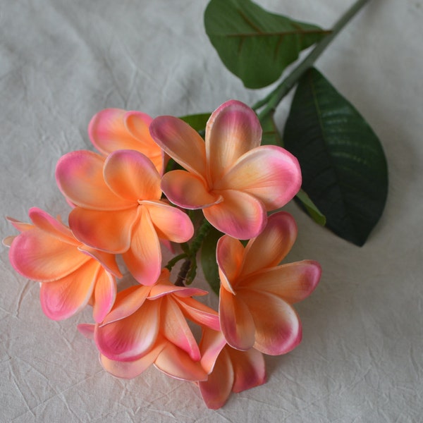 Corail Rose Frangipani Plumerias Tiges naturelles Real Touch Fleurs pour Soie Bouquet de mariée Centres de table de mariage